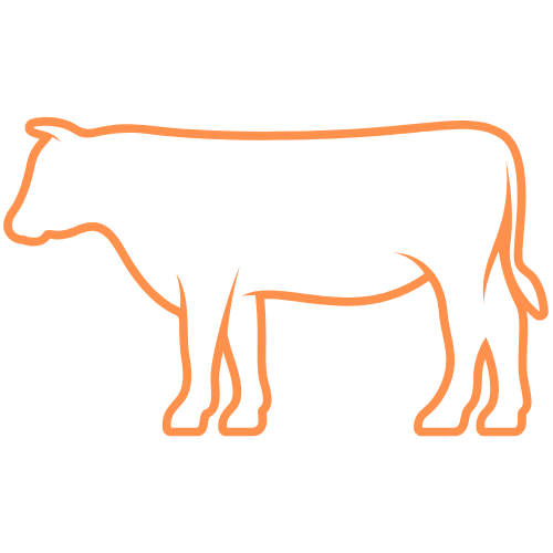 Carne de Bovino Consumo €/kg